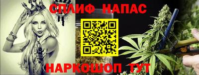 ешки Краснодар