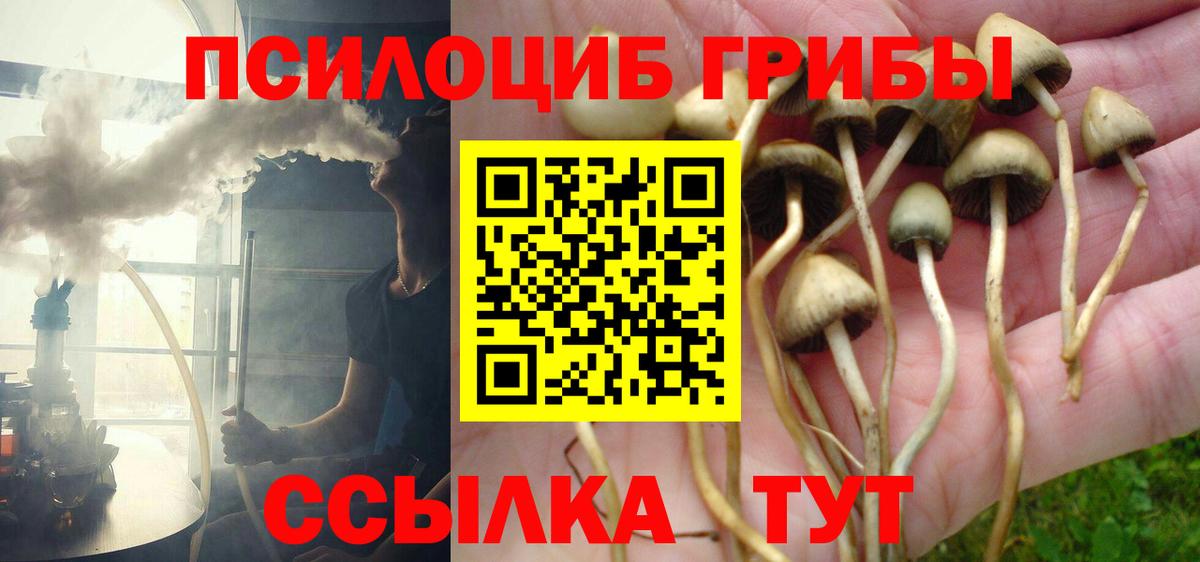 Псилоцибиновые грибы мухоморы  Галлюциногенные грибы GOLDEN TEACHER  Еманжелинск  как найти закладки  Вход с VPN 